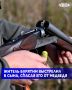 В Джидинском районе Бурятии, неподалеку от села Инзагатуй, отец выстрелил в ногу своему сыну, пытаясь защитить его от нападения медведя, рассказали в единой дежурно-диспетчерской службе района