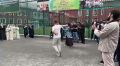 Жители города Шали активно участвуют в голосовании