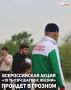В столице Чеченской Республики 28 сентября пройдет Всероссийская акция «10 000 шагов к жизни», сообщила мэрия