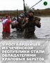 На базе учебного центра «Тамбукан» в Ставропольском крае состоялись испытания на право ношения крапового берета среди военнослужащих и сотрудников подразделений специального назначения Северо-Кавказского ордена Жукова округа...