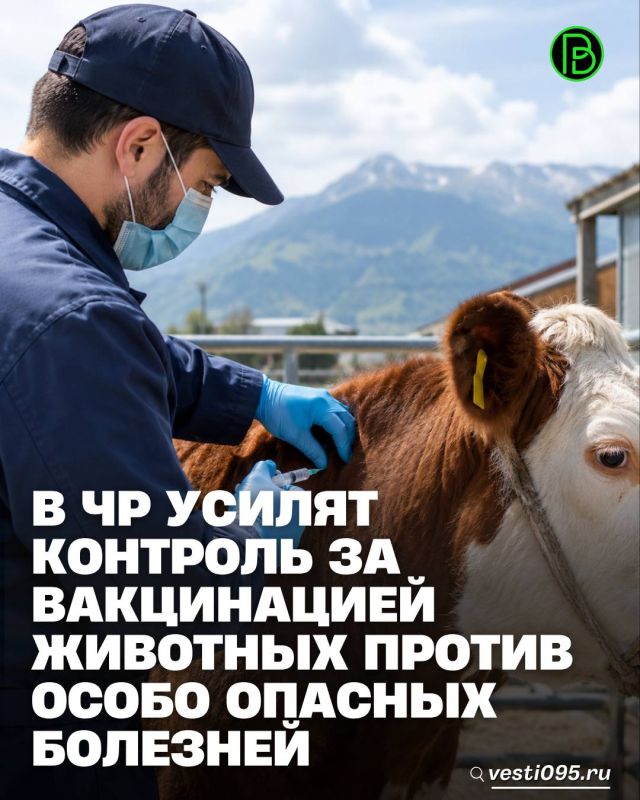 Заместитель Председателя Правительства Чеченской Республики - министр сельского хозяйства ЧР Висхан Мацуев провел рабочую встречу с начальником Управления ветеринарии Правительства Чеченской Республики Русланом Чигаевым