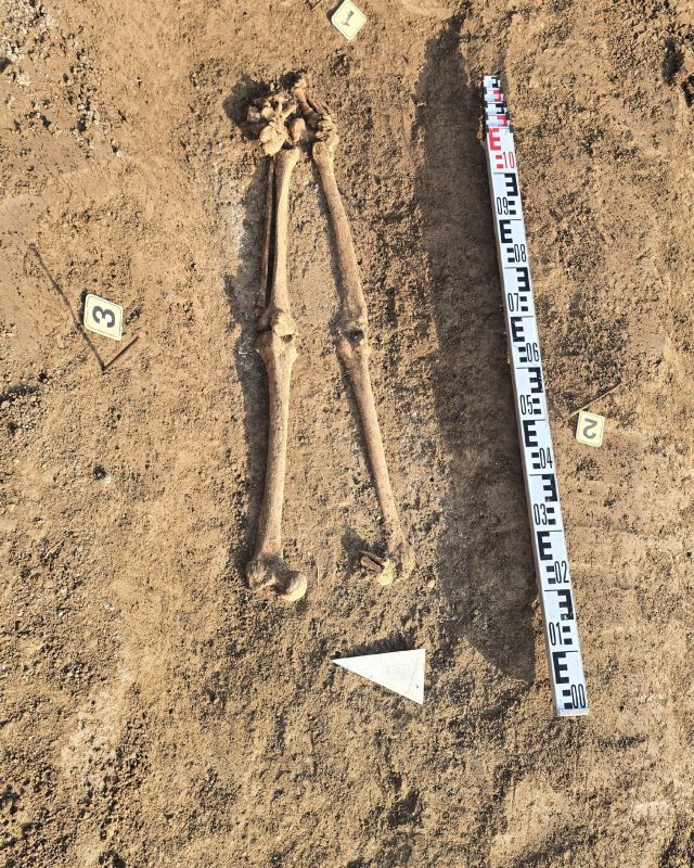 Археологи обнаружили 45 погребений на участке площадью 200 кв. метров в ходе раскопок Майртупского археологического памятника в Чечне Археологи обнаружили 45 погребений на участке площадью 200 кв. метров в ходе раскопок Майртупского археологического памятника в Чечне