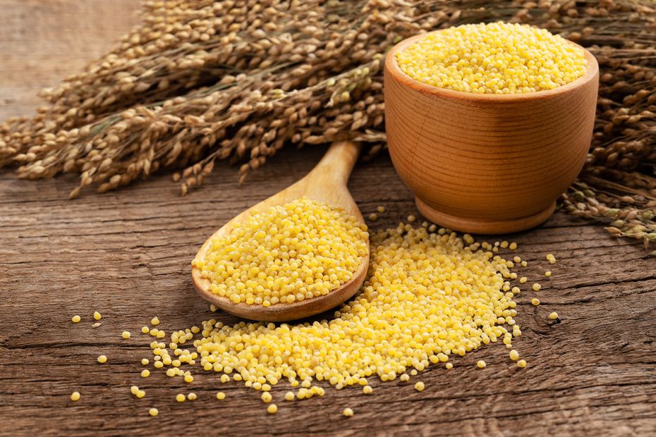 ������ ����� ������� ������: ������� � ������� �������� ��� ������ �������