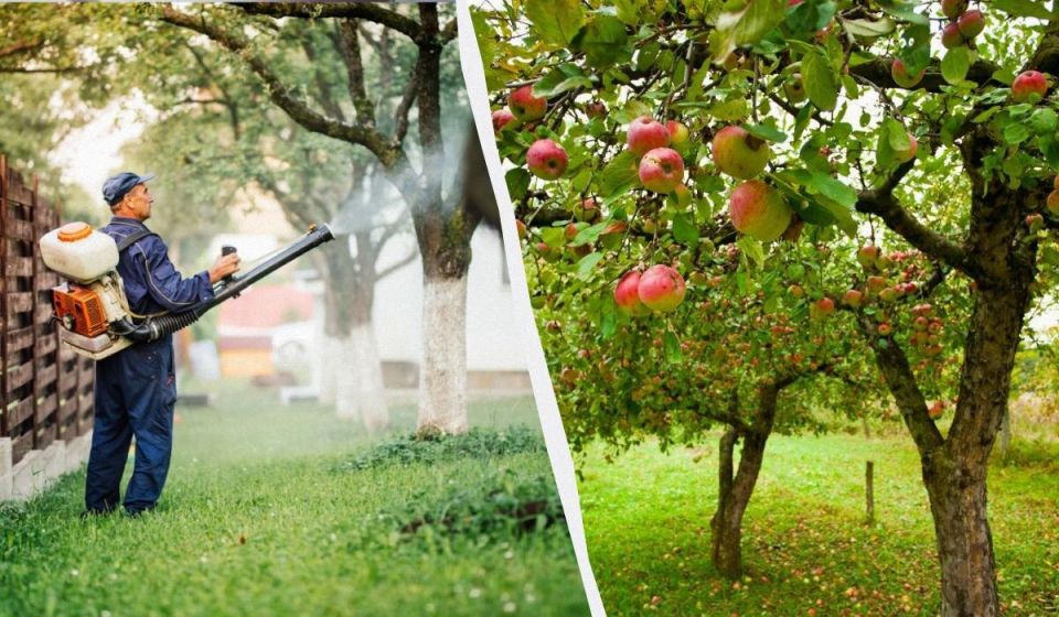 ����������� ������ ������ � �������� ����: ������� �������� ��� ���������