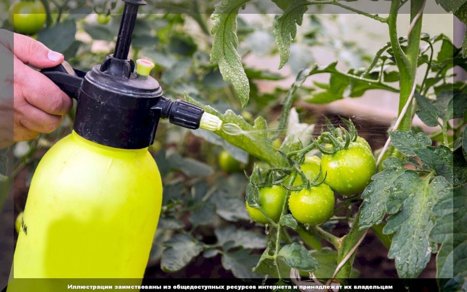 ��� ���������� ����������� ��������: 10 �������� ������ ��� ���������