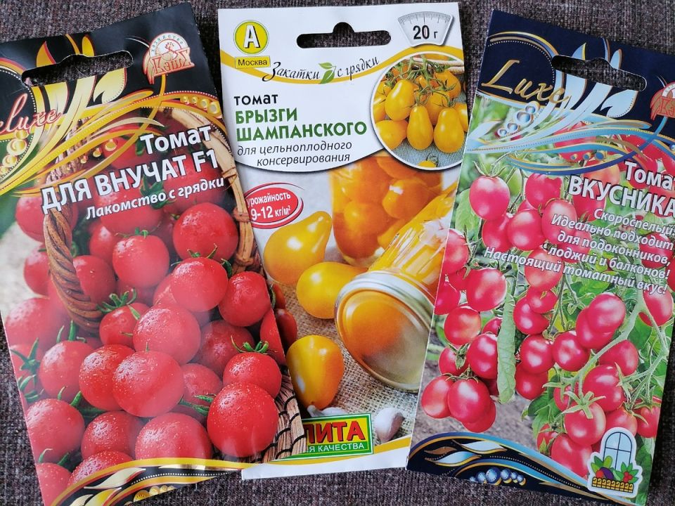 ������� ����� ������� ��� ������ � 2026 ����: ����������� � �������