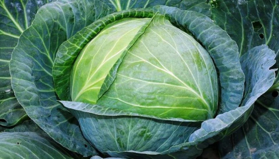 ����� �������� ������ ������� � ����� �� ��� ������?