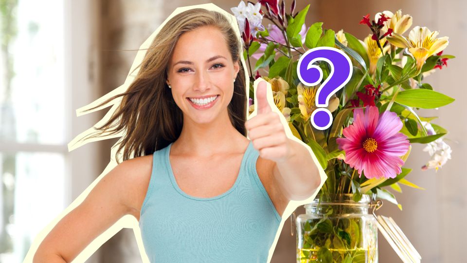 �� ������� � �� �����: ��� �������� ������� ��������� ����� ������