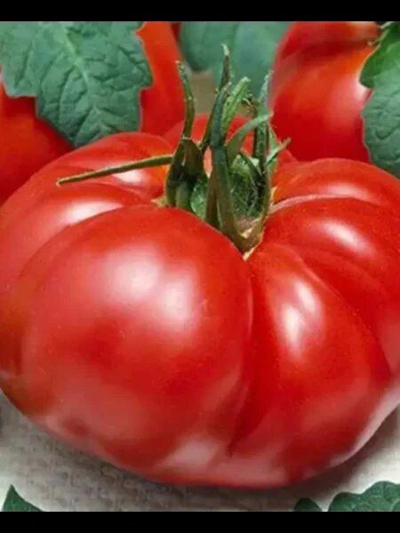 ����� ��������� �������: ������������� ������ ��� ������ � ��������� ������