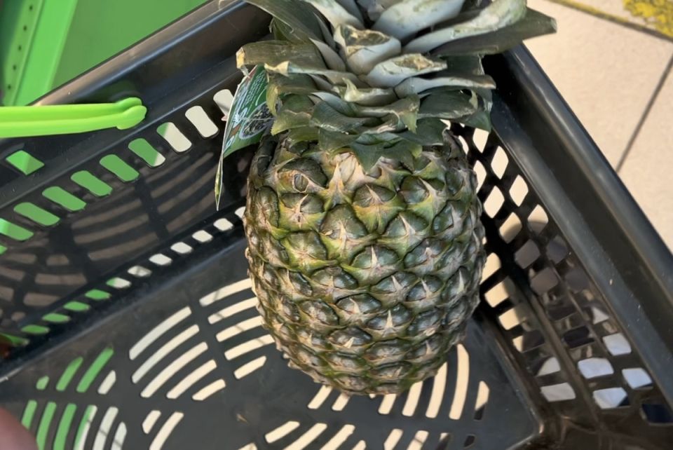 ��� ���������� �� �������� � ��������� � ������� ������� ������