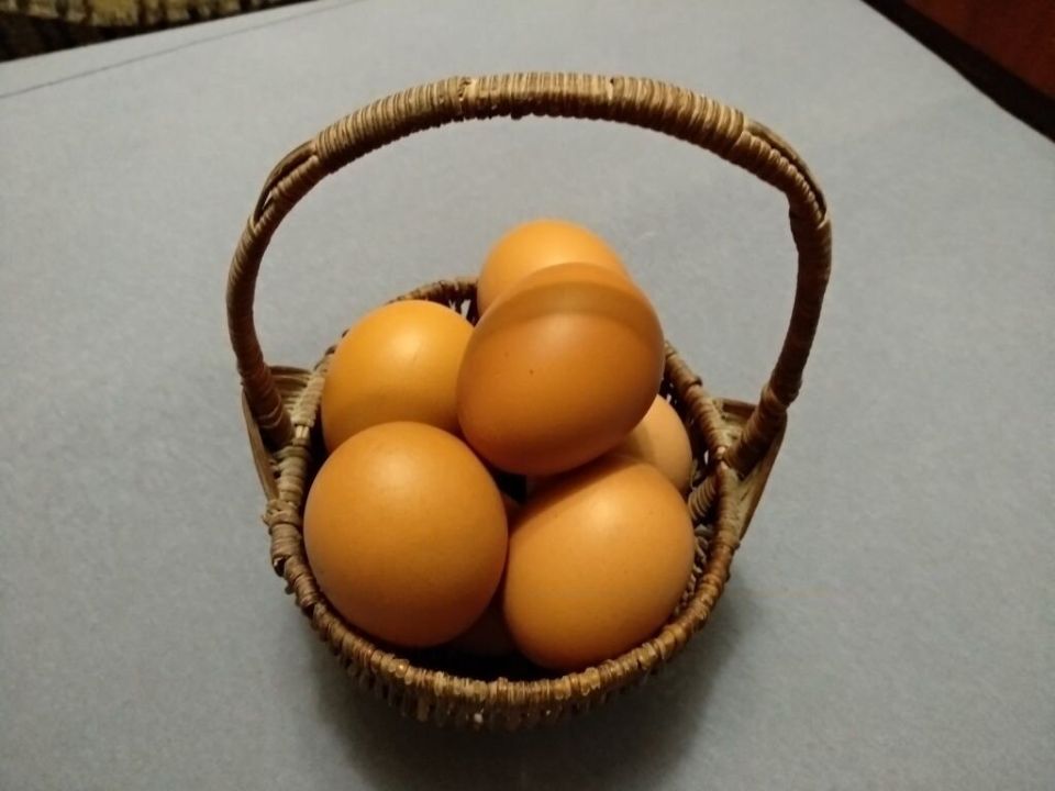 ���������� ����: ��� ������, ������� ������ ����� ������ �� ����� � ���